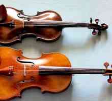 Hoe om tussen viool en viool te onderskei