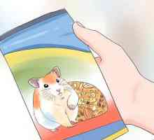 Hoe om `n hamster te voed