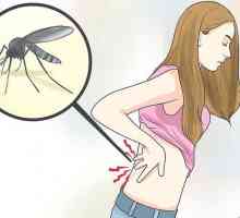 Hoe om spierpyn van chikungunya te verlig