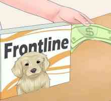 Hoe om aansoek te doen Frontline (behandeling vir vlooie en bosluise)