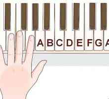 Hoe om te leer om klavierliedjies per ore te speel