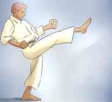 Hoe Taekwondo leer