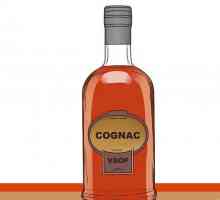 Hoe om te drink cognac