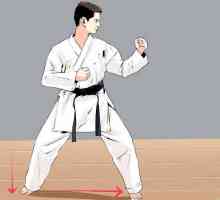 Hoe om stampe in karate te blokkeer