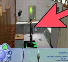 Hoe om Sims te verwyder