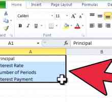 Hoe om `n rente betaling te bereken met behulp van Microsoft Excel