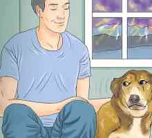Hoe om `n hond te kalmeer tydens storms