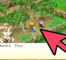 Hoe om Ann te trou met die videogame Harvest Moon Friends of Mineral Town