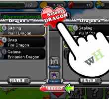 Hoe om `n reënboog draak in DragonVale te verhoog