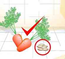 Hoe om wortels in potte te groei