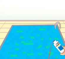 Hoe om vas te stel watter algaecide en clarifier die beste vir jou swembad is