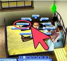 Hoe om die geslag van jou baba in die Sims 3 te bepaal