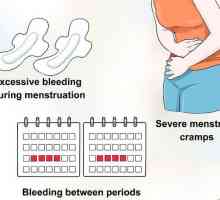 Hoe om uteriene fibroïede te diagnoseer