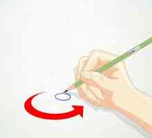 Hoe om `n karikatuur van `n hibiskusblom te teken