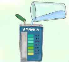 Hoe om die vlak van ammoniak in jou vistenk te verminder