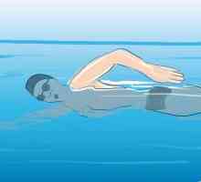 Hoe om drie verskillende swemstroke uit te voer