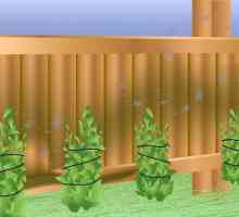 Hoe om mal en alge van `n hout heining te verwyder