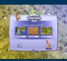 Hoe om `n vennoot te vind in The Sims 2