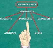 Hoe om wiskunde Singapoer-styl te leer