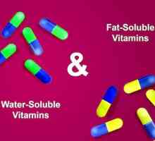 Hoe om die verskil tussen wateroplosbare en vetoplosbare vitamiene te verstaan
