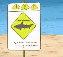 Hoe om haai aanvalle te vermy