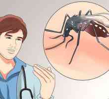 Hoe om chikungunya te vermy