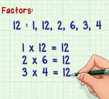 Hoe om algebraïese vergelykings te faktoriseer