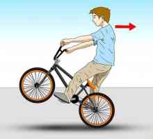 Hoe maak die haas spring op `n fiets