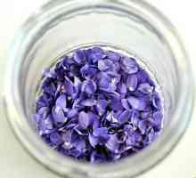 Hoe om violetstroop te maak