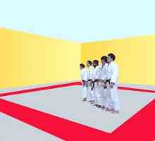 Hoe om judo te maak