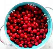 Hoe om vars cranberry sap te maak