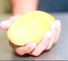Hoe om mangosap te maak