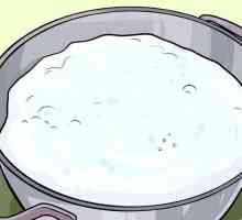Hoe om mozzarella te maak