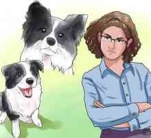 Hoe maak jou hond ophou bedel