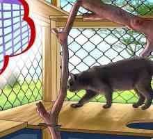Hoe om `n balkon veilig vir katte te maak