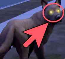 Hoe om `n weerwolf in die Sims 2 te maak