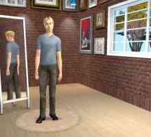 Hoe om `n fliek te maak met The Sims 2
