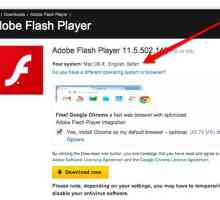 Hoe om Adobe Flash Player te installeer