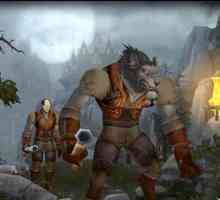 Hoe om te speel as `n Jagter in World of Warcraft
