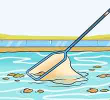 Hoe om `n swembad skoon te maak