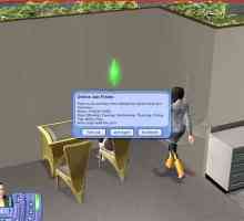 Hoe kom jy na die top van jou professionele loopbaan in The Sims 2