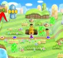 Hoe om nie `n hoed in die Nuwe Super Mario Bros Wii te hê nie