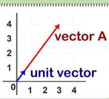 Hoe om `n vektor te normaliseer