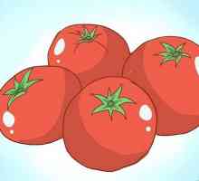 Hoe om deel te neem aan die Tomatina