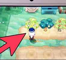 Hoe om bessies in Pokémon X en Y te plant