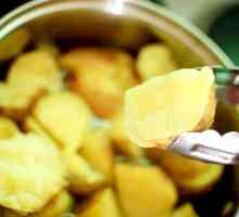 Hoe om `n herdertjiepastei of gemaalde vleistaartjie met aartappels voor te berei