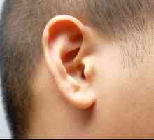 Hoe om gehoorverlies te voorkom