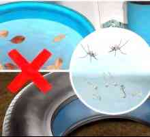 Hoe om die voortplanting van muskiete te voorkom