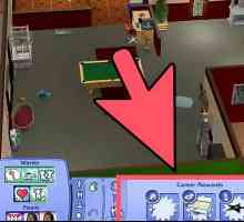 Hoe om `n Sim in die Sims 2 op te wek