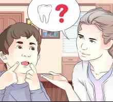 Hoe om die tandfees te wees